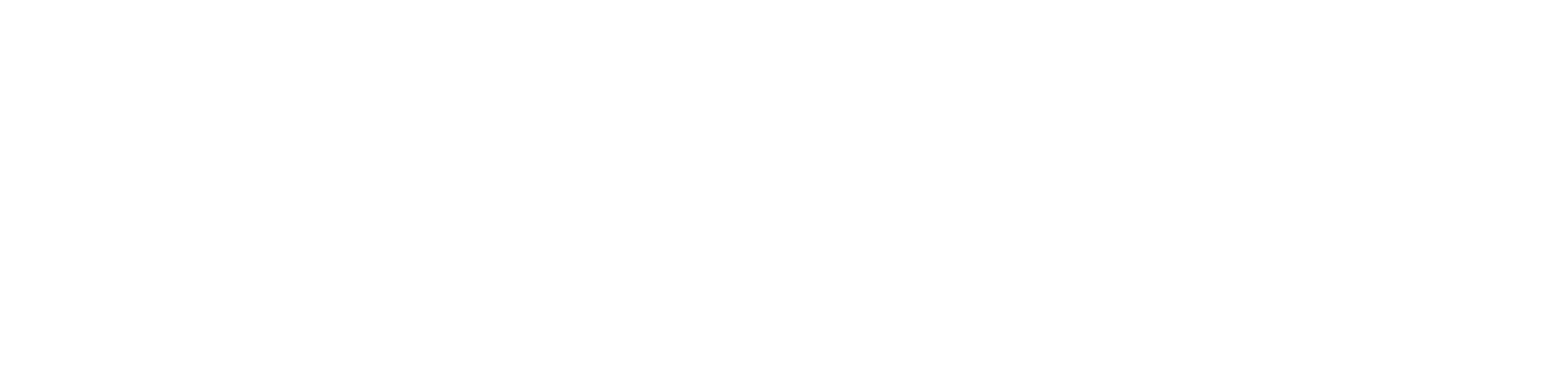 Partner 6