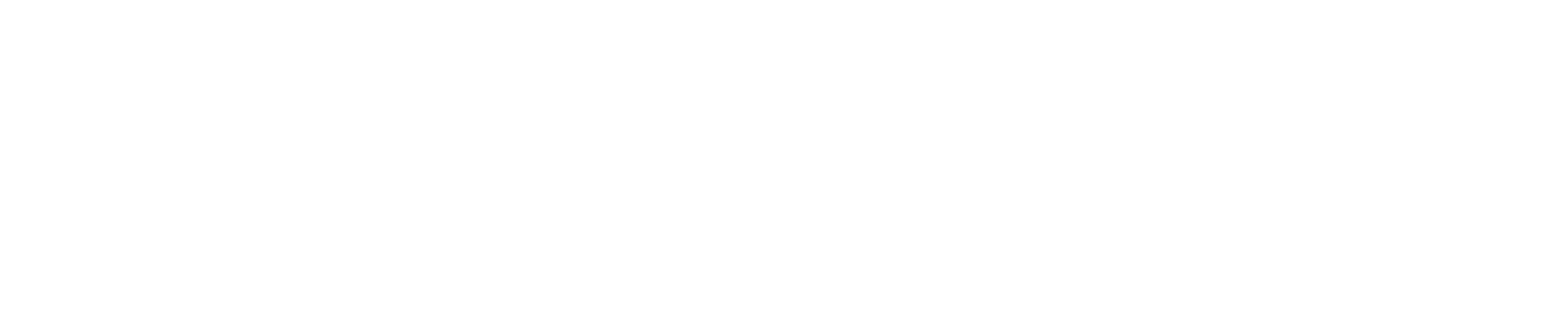 Partner 8